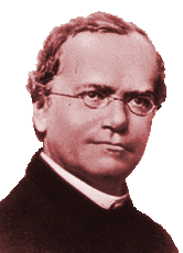 <b>Gregor Johann</b> Mendel - mendel
